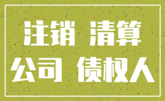 公司注销决议范文