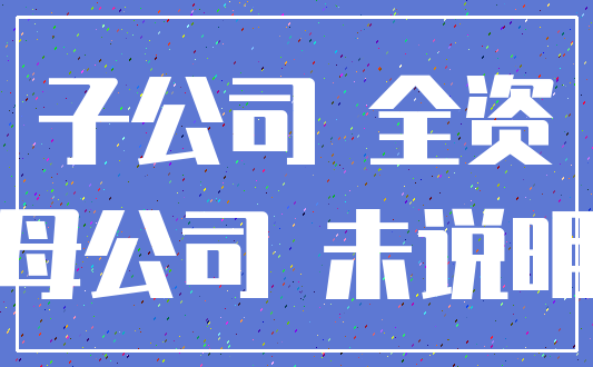 子公司 全资_母公司 未说明