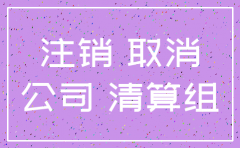 辽宁公司注销网上办理流程