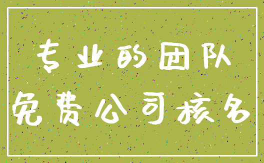 专业的团队_免费公司核名