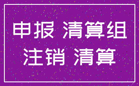 申报 清算组_注销 清算