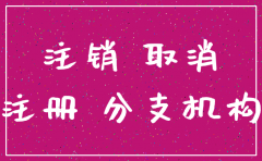 珠海代理注销公司