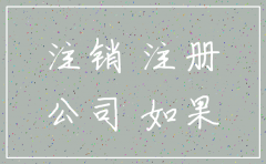 开一个公司几年后注销