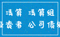 公司注销清算报告书