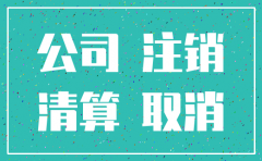 保定注销公司流程