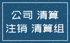 南京注销公司登报