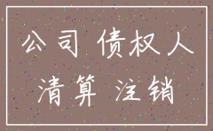 分公司注销诉讼