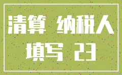 公司注销税务清算报表