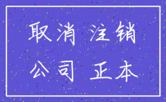 深圳网上简易注销公司