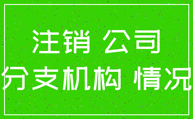 注销 公司_分支机构 情况