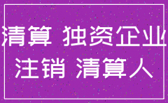 个人独资公司注销申请书
