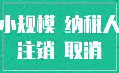 小规模纳税人国内公司注销