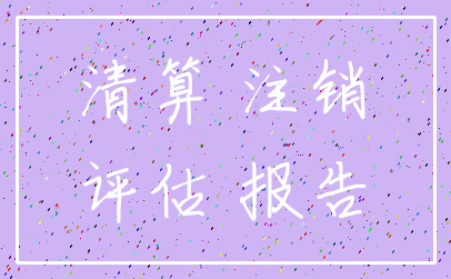 清算 注销_评估 报告