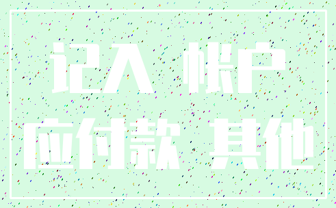 记入 帐户_应付款 其他