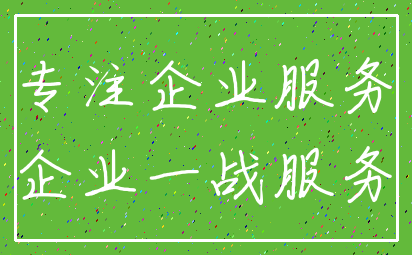专注企业服务_企业一战服务