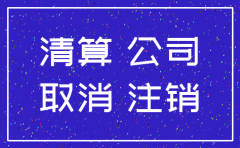 公司注销报表如何清理