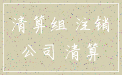 向税务提交的公司注销申请