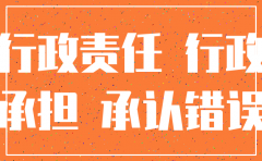 有限公司注销承担的行政责任