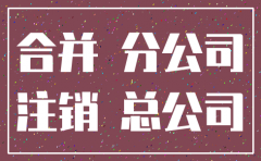 分公司注销合并报表