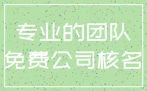 专业的团队_免费公司核名