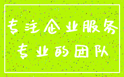 专注企业服务_专业的团队
