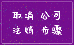成都公司注销申请书