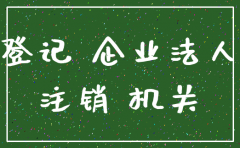 公司注销被起诉