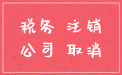 分公司没有税务证能注销