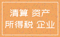 公司注销递延所得税资产