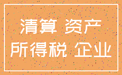 清算 资产_所得税 企业