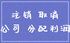 公司注销税后利润怎么处理