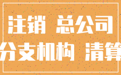注销分公司对母公司