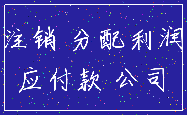 注销 分配利润_应付款 公司