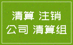 自然独资公司注销如何办理