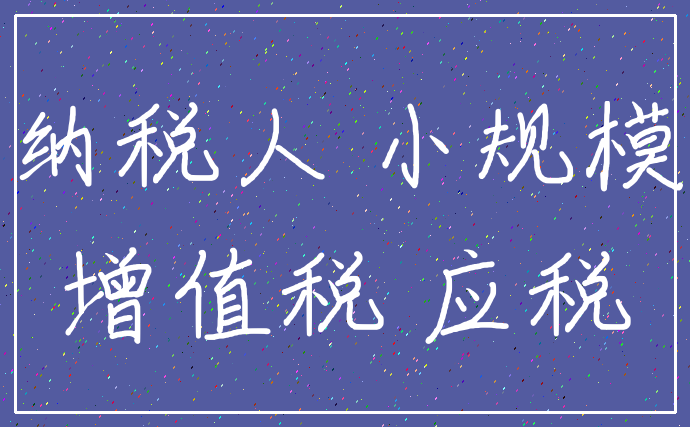 纳税人 小规模_增值税 应税