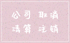 湖南国税公司注销流程