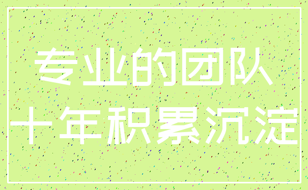 专业的团队_十年积累沉淀
