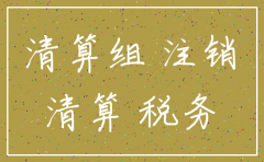 分公司用用注销