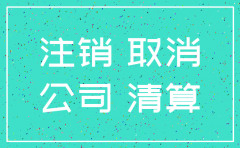 无经营公司注销流程