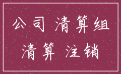 企业公司注销实施方案