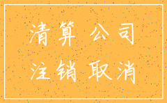 公司注销前摊销费用怎么处理