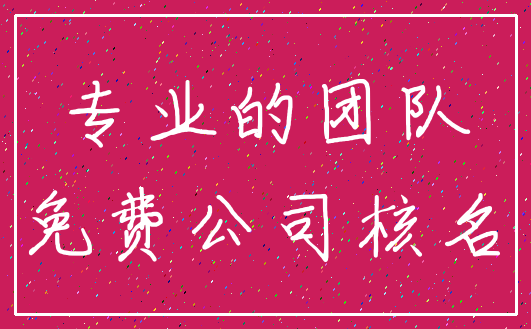 专业的团队_免费公司核名