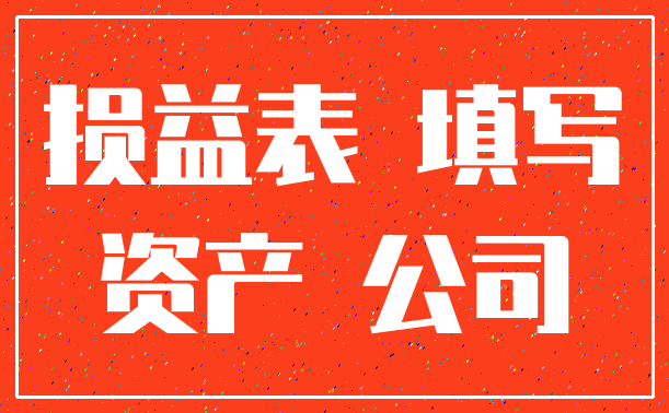 损益表 填写_资产 公司
