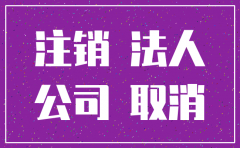 公司注销后可以开新公司么