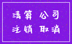 没运营公司注销股清算报告