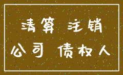 没有业务的公司注销说明如何写