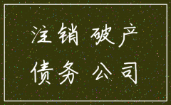 有限公司有债务能办注销