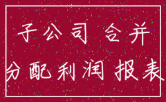 注销子公司在合并现流表