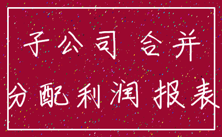 子公司 合并_分配利润 报表