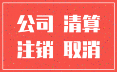 重庆南岸区内资分公司注销流程